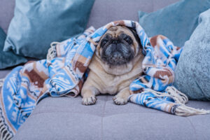 After the Holidays: A Melancholic Season